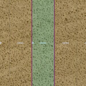 DESERT SKIES UNIT 2 LOT 250