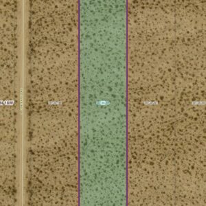 DESERT SKIES UNIT 2 LOT 200