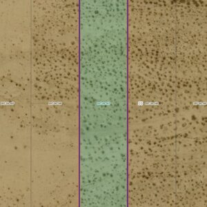 DESERT SKIES UNIT 2 LOT 147