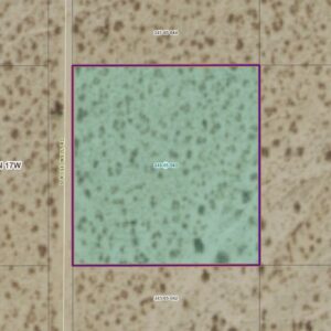 DESERT SHADOWS RANCHOS OF AZ UNIT 5 BLK C LOT 11